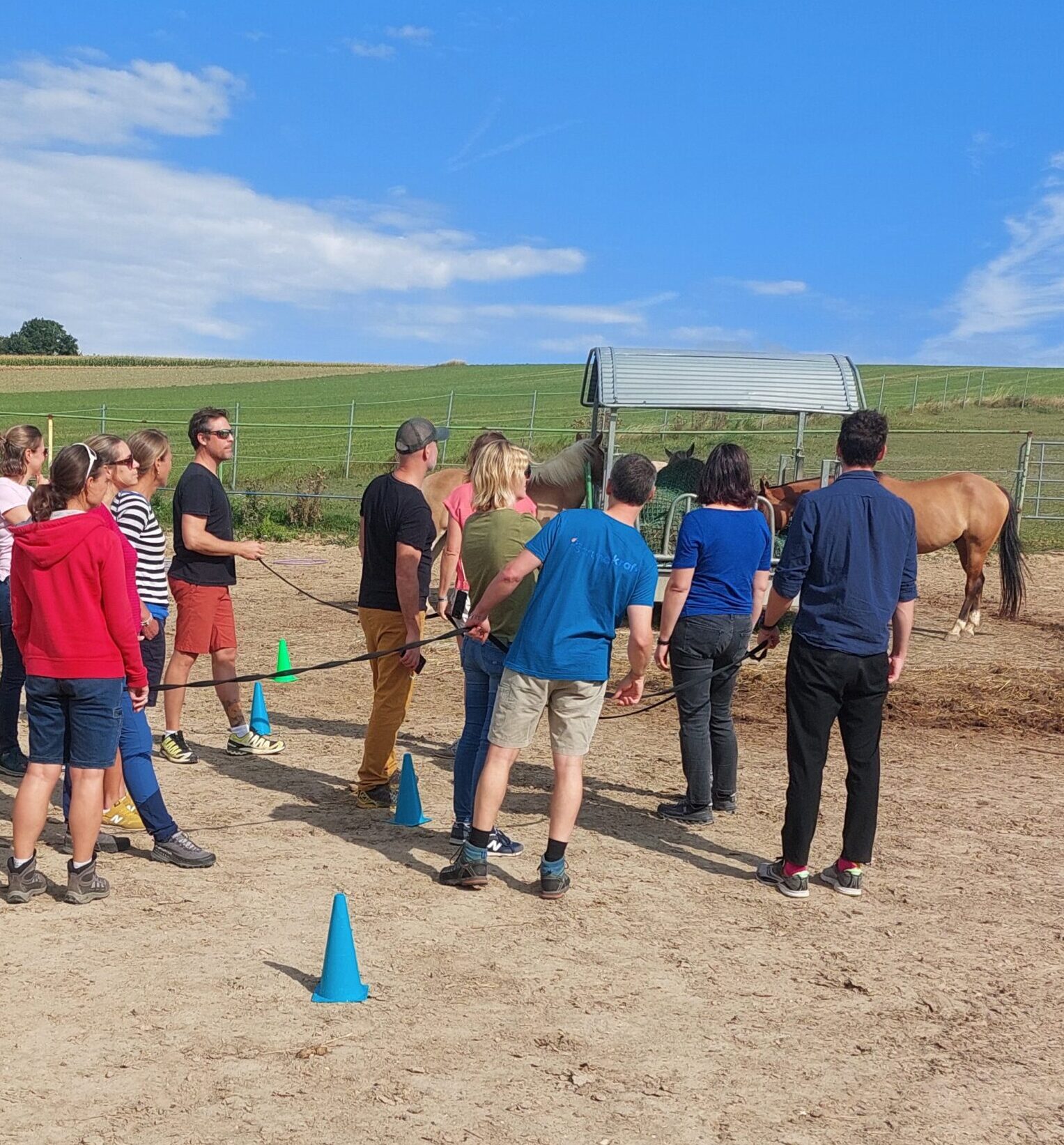 Teambuilding mit Pferden auf einer Koppel