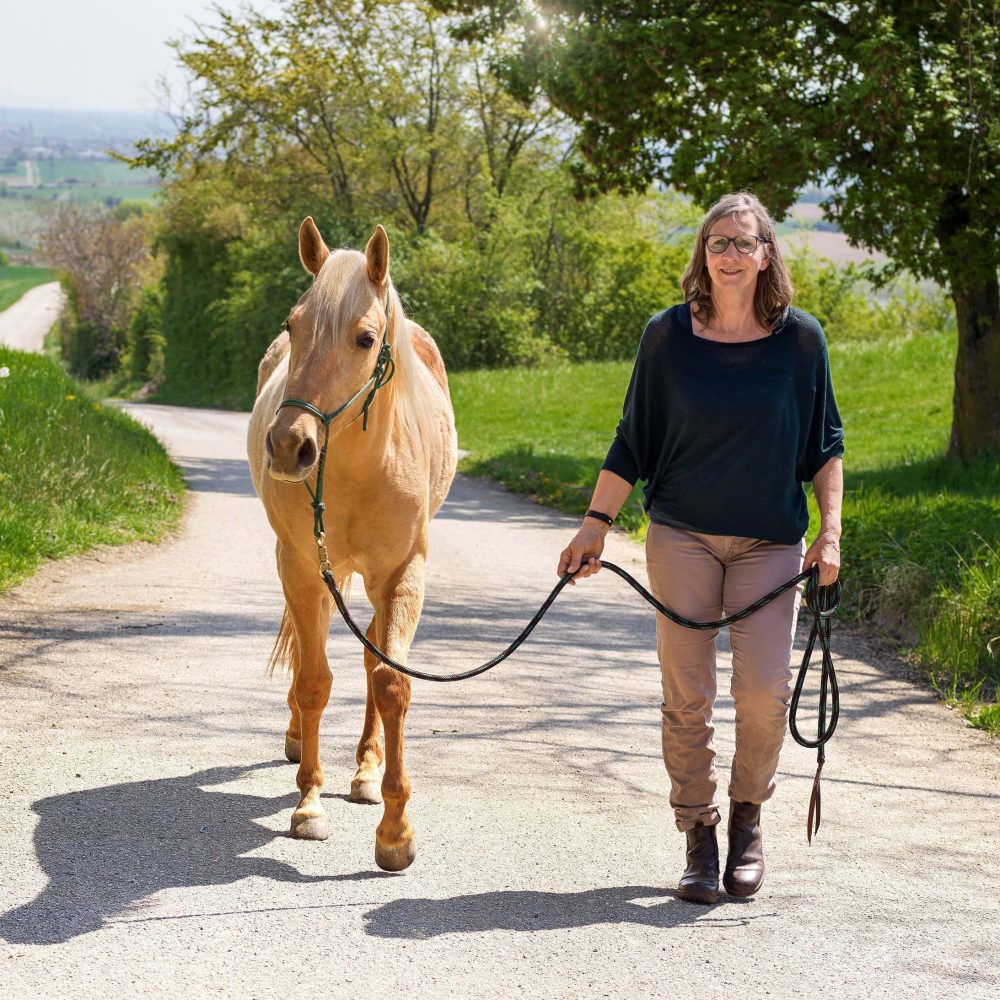 Walk and Talk mit Pferd im Raum Wien-k